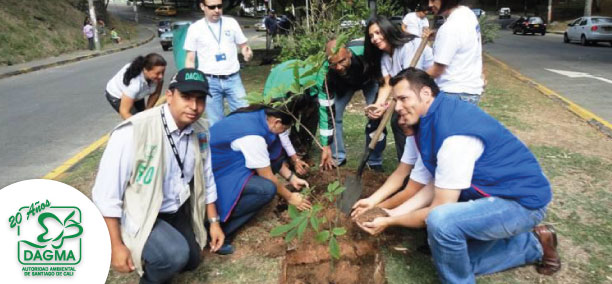 Pasos para adoptar una zona verde