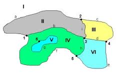 Topología