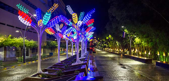 Cali 24 Horas brillar con las luces de la navidad