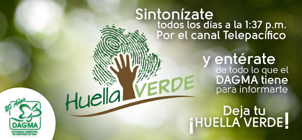 Hoy Sintonzate con la HUELLA VERDE por Telepacfico