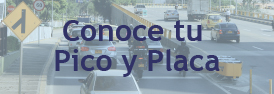Pico y placa Cali