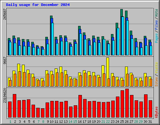 Daily usage for December 2024