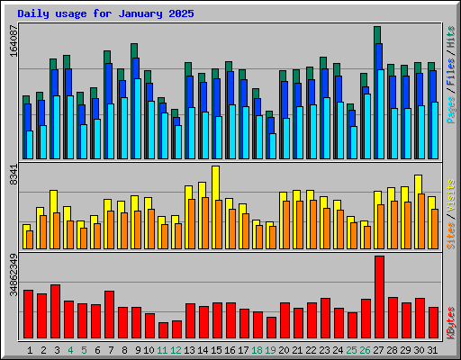 Daily usage for January 2025