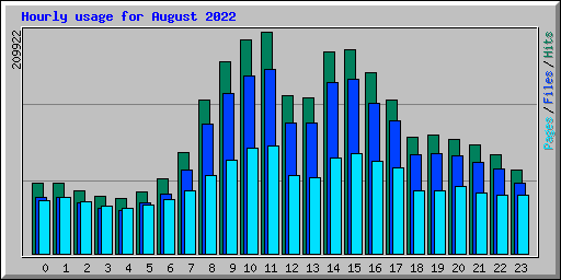 Hourly usage for August 2022