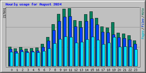 Hourly usage for August 2024