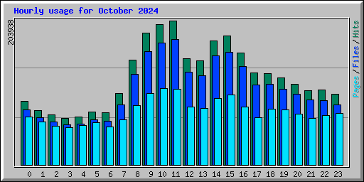 Hourly usage for October 2024