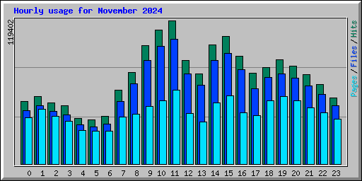 Hourly usage for November 2024