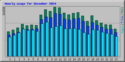 Hourly usage for December 2024