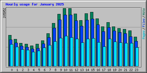 Hourly usage for January 2025