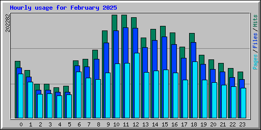 Hourly usage for February 2025