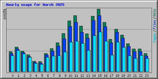 Hourly usage for March 2025