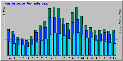 Hourly usage for July 2025