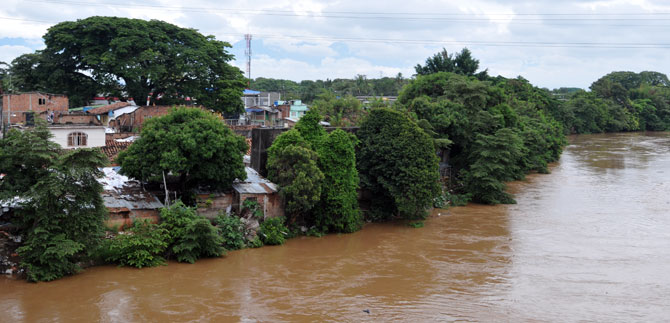 Consejo de Estado da va al reinicio de la recuperacin del jarilln del Cauca