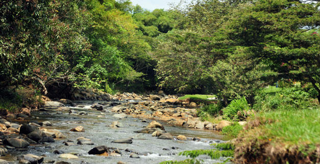 Alcalda insta a los caleos a ahorrar agua, tras bajos niveles de caudal de los ros