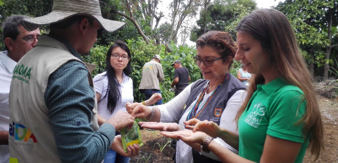 Implementar y aprovechar la agricultura urbana, la apuesta en Cali