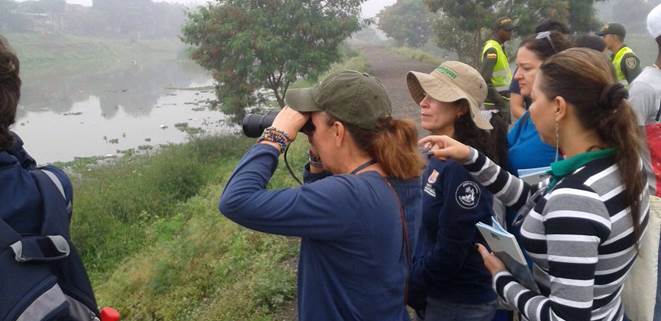 Aves migratorias se apreciaron en humedal Charco Azul