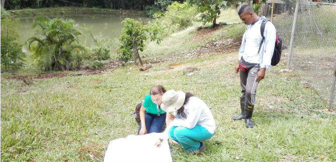 Se han recuperado 34.000 metros cuadrados de corredor verde en la Comuna 22