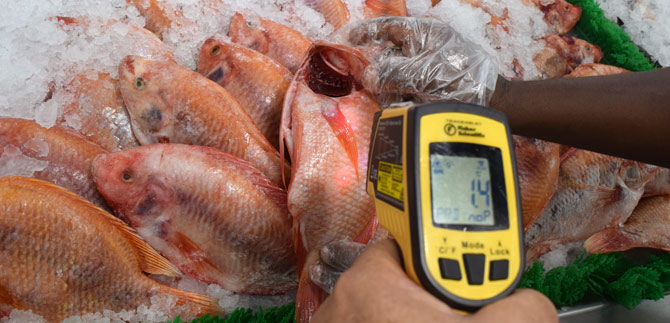 La Secretar�a de Salud P�blica ya est� en el Petronio