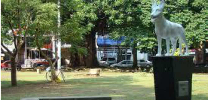 Festival Ecolgico en el Parque del Perro