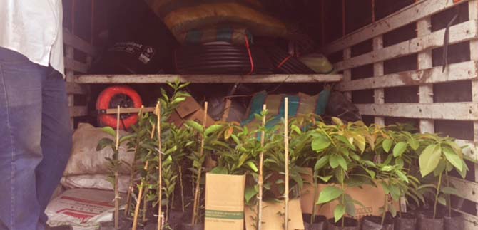 Entregan insumos a pequeos y medianos productores de los 15 corregimientos