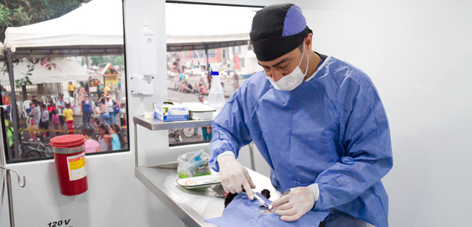 Convenio de Cali con Europa para ayudar animales desamparados