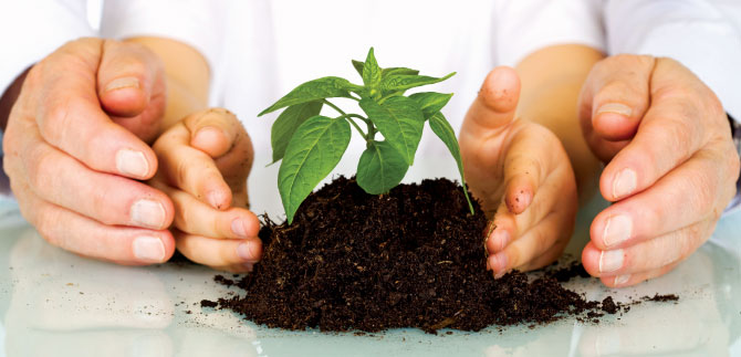Socializaci�n del Borrador de la Pol�tica Publica Municipal de Educaci�n Ambiental