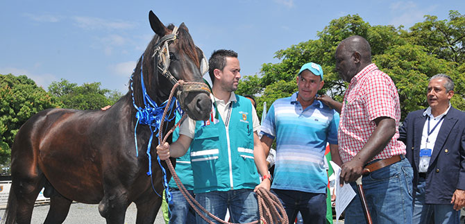 Estrenar camionetas mitig el dolor de entregar sus caballos carretilleros