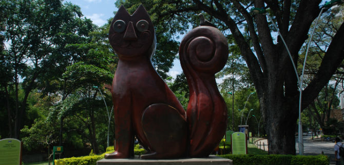 Avanza restauracin del Gato del Ro