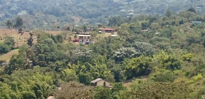 Censo Rural finaliz el reconocimiento predial con cinco corregimientos