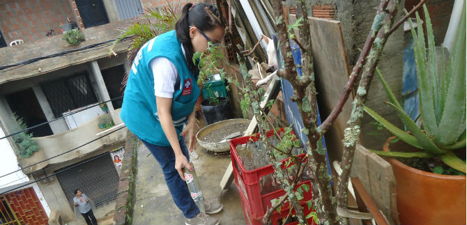 Inspeccionadas 27.403 viviendas para control del aedes aegypti