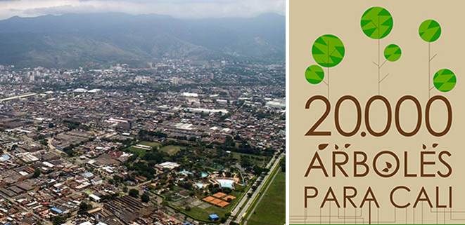 Arranca programa de siembra de 20.000 rboles, este mircoles