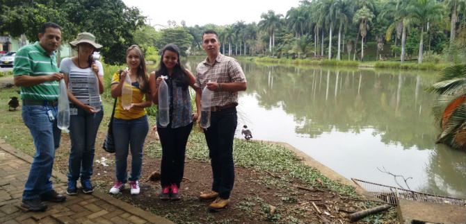 Siembran peces guppies para combatir el zika, dengue y chikungua