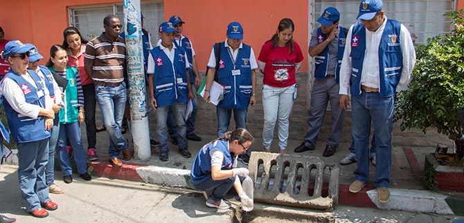 Batalln de peces guppy combatir al zancudo en Cali