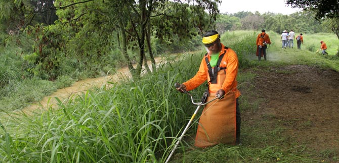 Contin�a recuperaci�n del R�o Cali