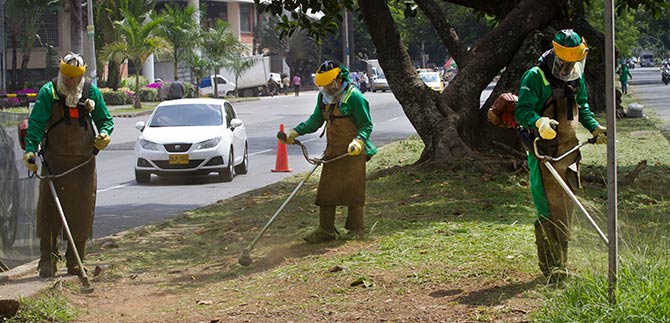 En un 35% avanza  el corte de c�sped de la ciudad