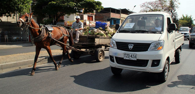 463 veh�culos de tracci�n animal recibir�n el beneficio de la sustituci�n en Cali
