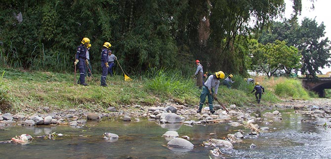 Bomberos de Cali se le apuntaron a la tarea de limpiar el ro Cali