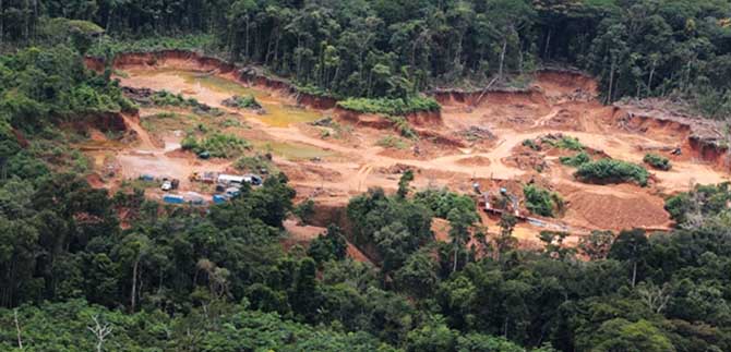 Respecto Sentencia de la Corte Constitucional, Dagma fija posicin