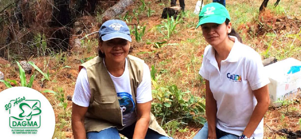 Iniciativas de siembra y mantenimiento en pro del ecosistema
