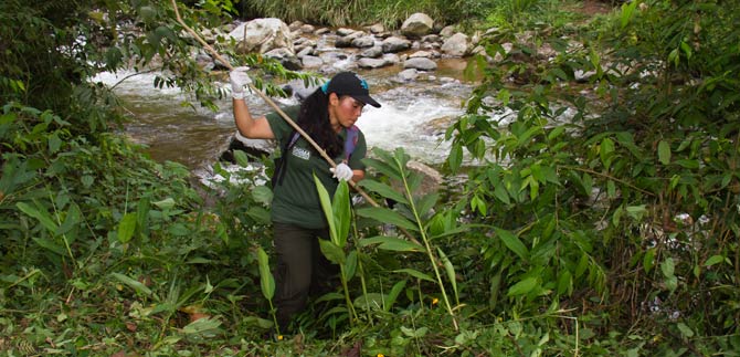 CulturaCiudadanaPichindé84w.jpg CulturaCiudadanaPichindé84w.jpg