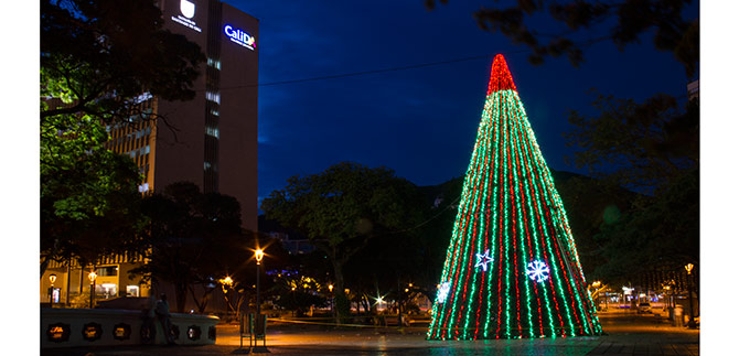 Cali est� lista para la inauguraci�n de su alumbrado navide�o