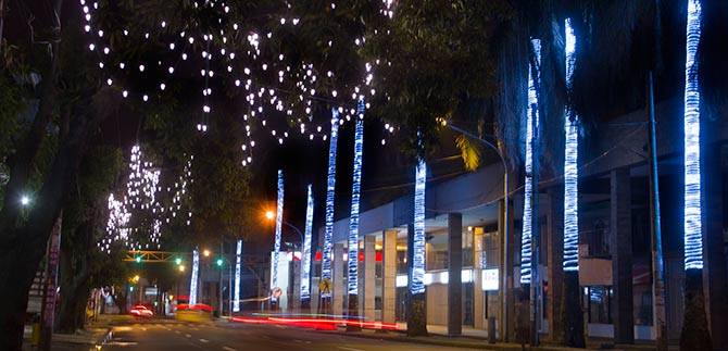 Avenida Sexta y la Calle Quinta tambi�n se llenaron de luces