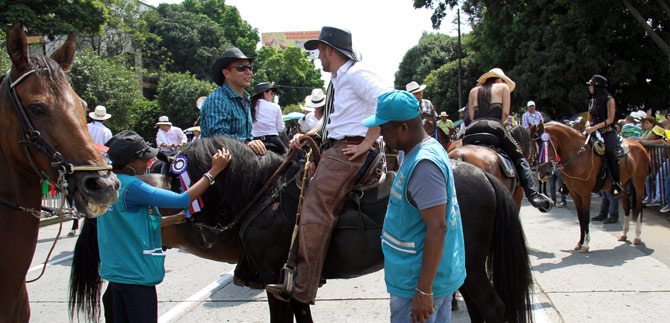Autoridades sanitarias minimizan riesgos de equinos en la cabalgata de la Feria de Cali