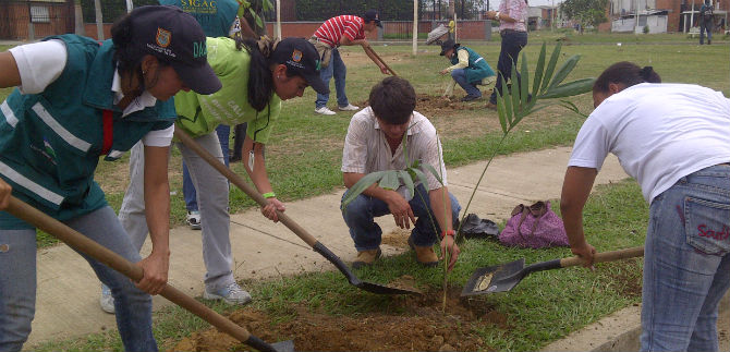 Dagma informa sobre especies a sembrar seg�n el espacio que se disponga