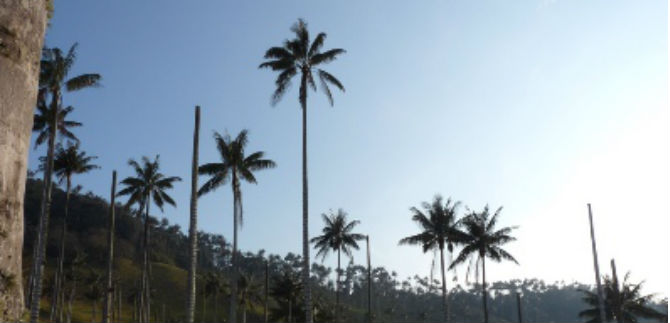 Dagma invita a vivir la Semana Santa en paz con la naturaleza