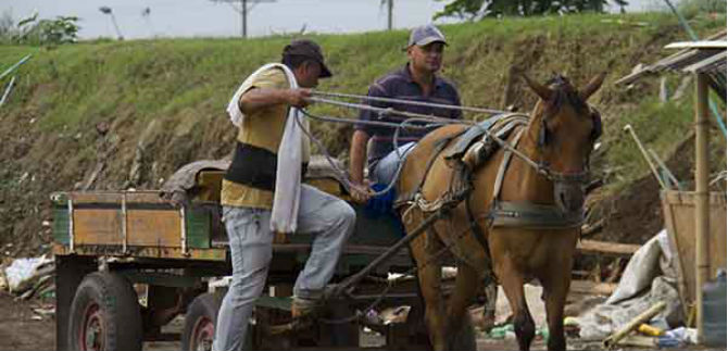 Convocatoria a proceso de orientaci�n ocupacional a carretilleros de Cali