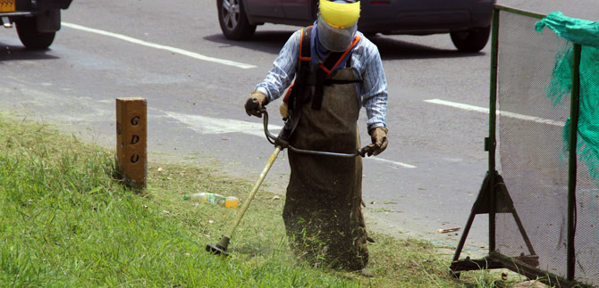 C�mo presentar  propuesta para participar del proceso de corte de c�sped en Cali?: Dagma informa