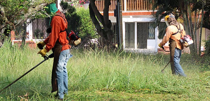 Vinculaci�n de Fundecos en poda de zonas verdes fue con las personas y no con fundaciones