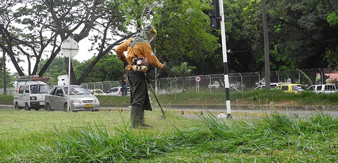 Dagma avanza en el mantenimiento de zonas verdes; conozca la programaci�n