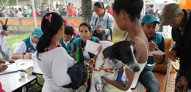 Salud de Cali llama a due�os de animales a una tenencia responsable